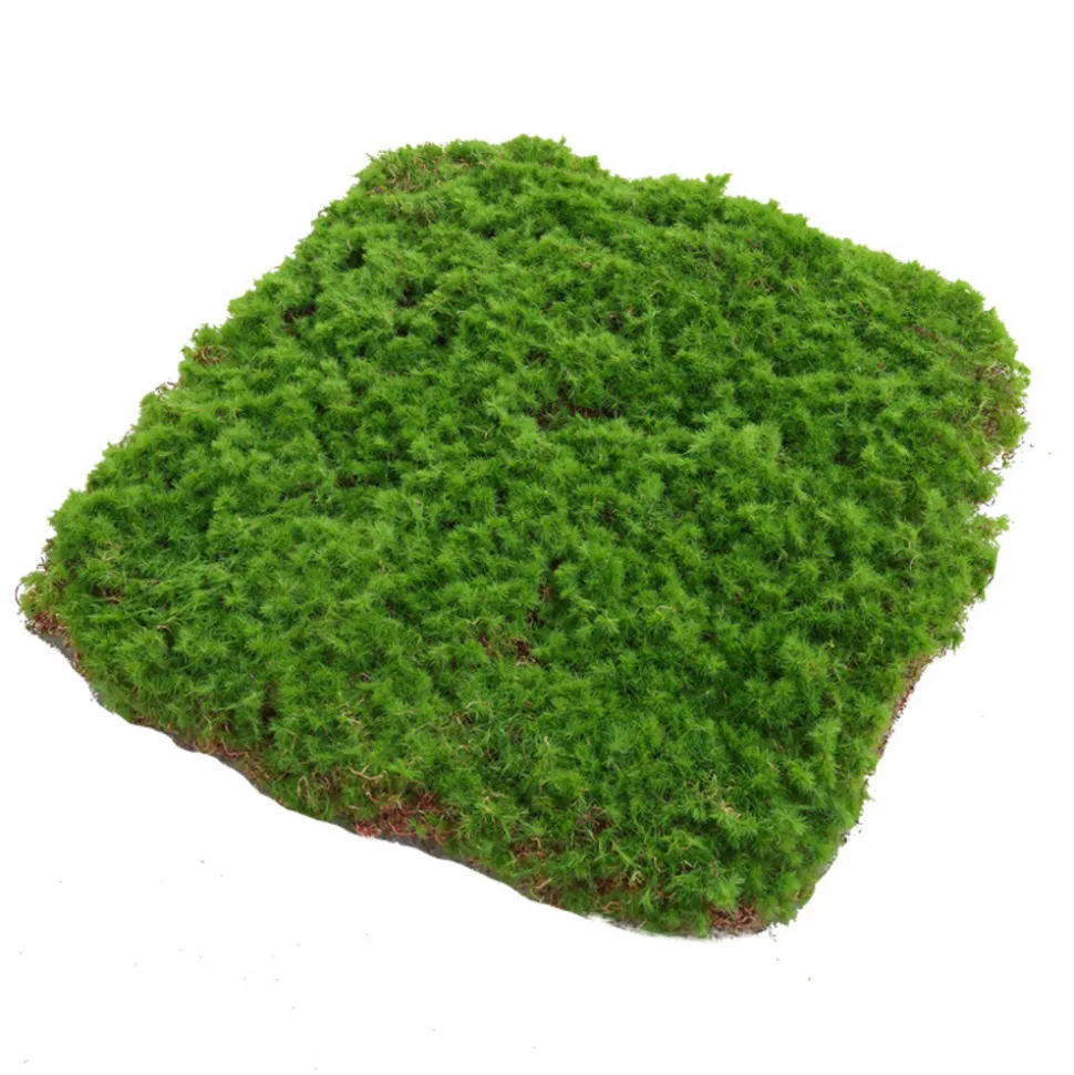 DOWNYPAWS - Feuille de mousse artificielle en peluche 20×20 cm*2 pièces