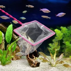 DOWNYPAWS - Filet sécurisé pour aquarium