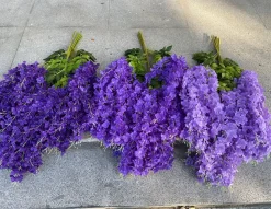 DOWNYPAWS - Fleurs de glycine artificielles, 12 tiges rose clair
