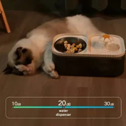 DOWNYPAWS - Fontaine à Eau Automatique Pour Chat, Gamelle En Acier Inoxydable