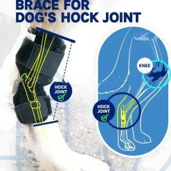 DOWNYPAWS - Gaine de protection pour pattes de chien après opération, support pour genoux taille m