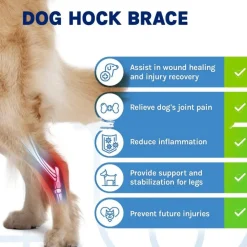 DOWNYPAWS - Gaine de protection pour pattes de chien après opération, support pour genoux taille m
