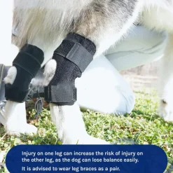 DOWNYPAWS - Gaine de protection pour pattes de chien après opération, support pour genoux taille m