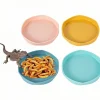 DOWNYPAWS - Gamelles à eau - lot de 4, motif dragon barbu, peu profond et plat, plastique