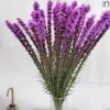 DOWNYPAWS - Graines de fleurs liatris spicata rose environ 257 grains * 5 sachets