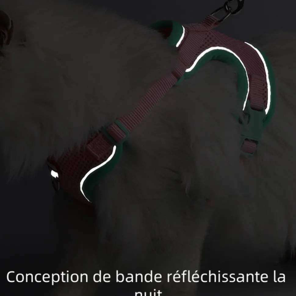 DOWNYPAWS - Harnais avec laisse pour chat m