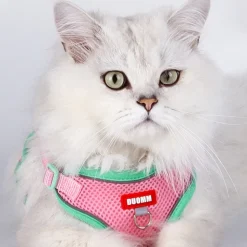 DOWNYPAWS - Harnais avec laisse pour chat m