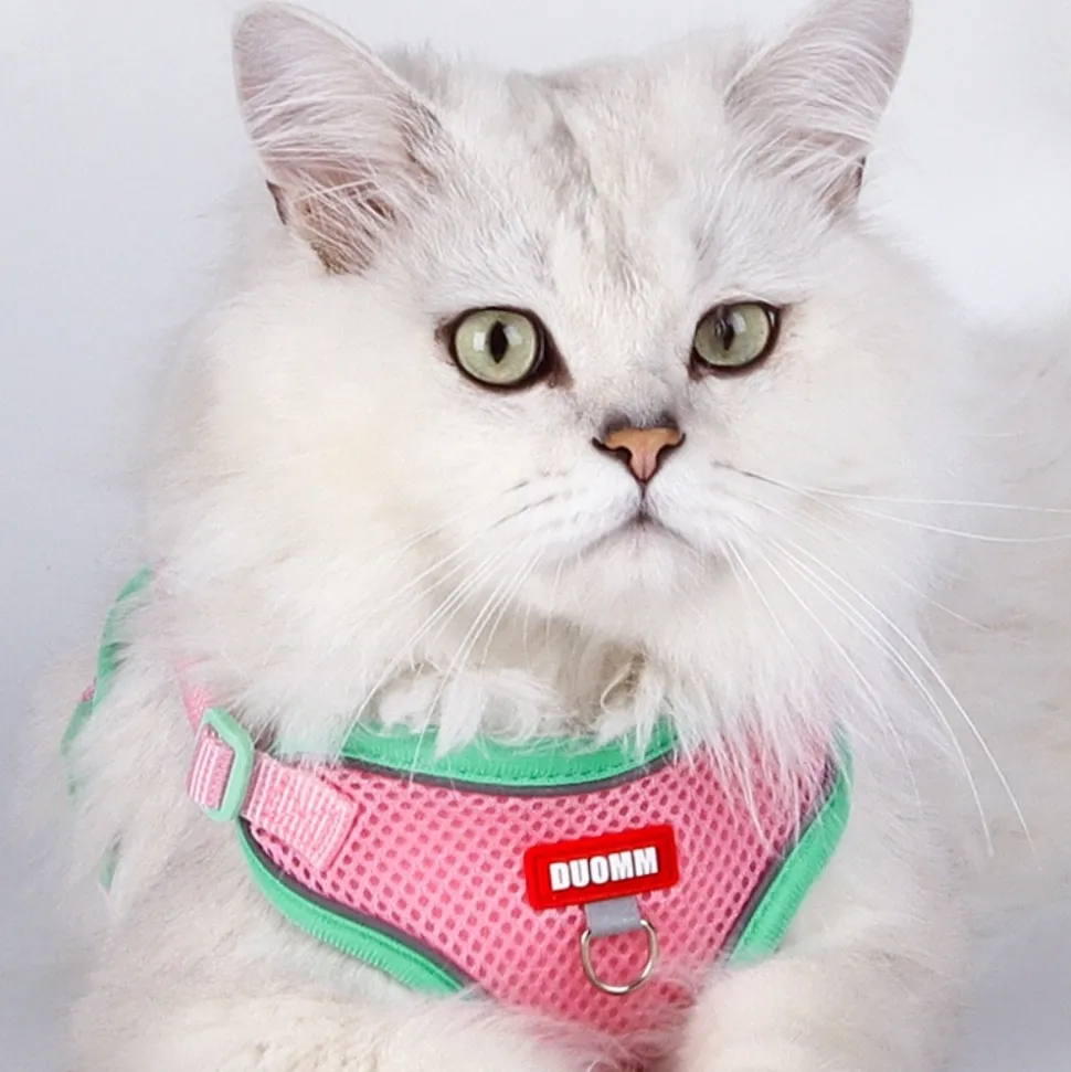 DOWNYPAWS - Harnais avec laisse pour chat m
