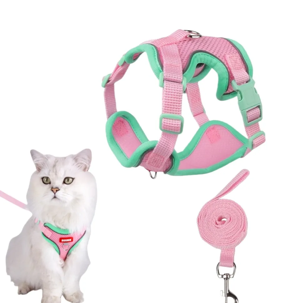 DOWNYPAWS - Harnais avec laisse pour chat xl