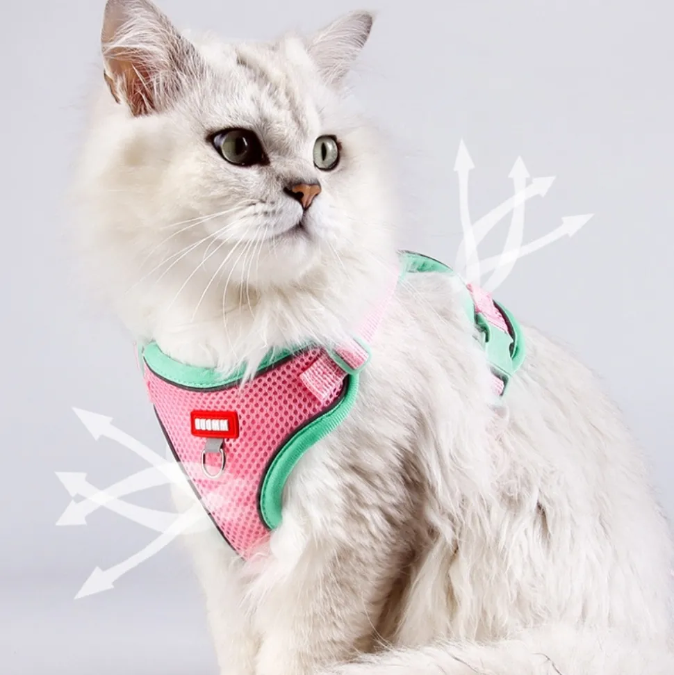 DOWNYPAWS - Harnais avec laisse pour chat xl