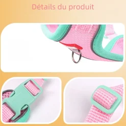DOWNYPAWS - Harnais avec laisse pour chat xl