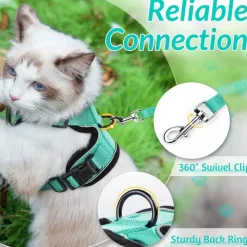 DOWNYPAWS - Harnais et laisse réfléchissants pour chat s