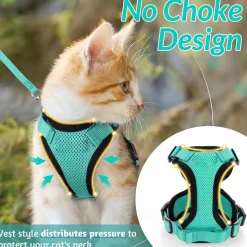 DOWNYPAWS - Harnais et laisse réfléchissants pour chat s