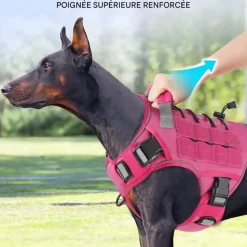 DOWNYPAWS - Harnais pour chien-anneau en d avec poignée- taille l