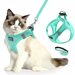 DOWNYPAWS - Harnais pour chats et chiens xl