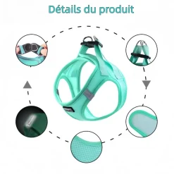 DOWNYPAWS - Harnais pour chats et chiens xl