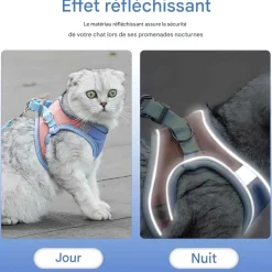 DOWNYPAWS - Harnais pour chat avec laisse et doublure réfléchissante m