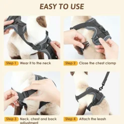 DOWNYPAWS - Harnais réfléchissant réglable pour chat - avec laisse xl