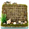 DOWNYPAWS - Jeu d'escalade pour hermit crab et escargot 2 pièces