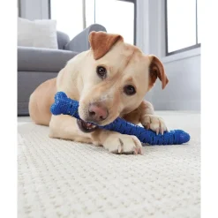 DOWNYPAWS - Jouets à mâcher pour chiens-jouet os à mâcher pour chienamovible-bleu 26*5*5cm