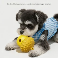 DOWNYPAWS - Jouets à mâcher bon pour le nettoyage des dents-fuite alimentaire en forme de noix