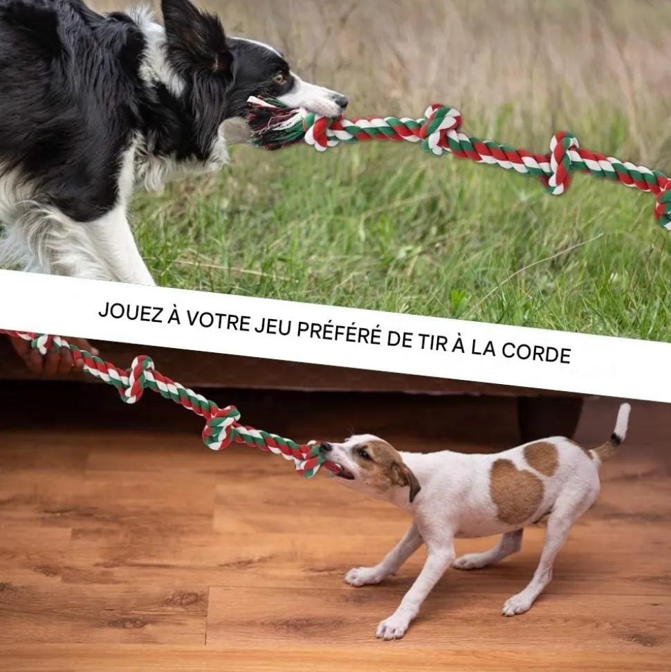 DOWNYPAWS - Jouets de tir à la corde