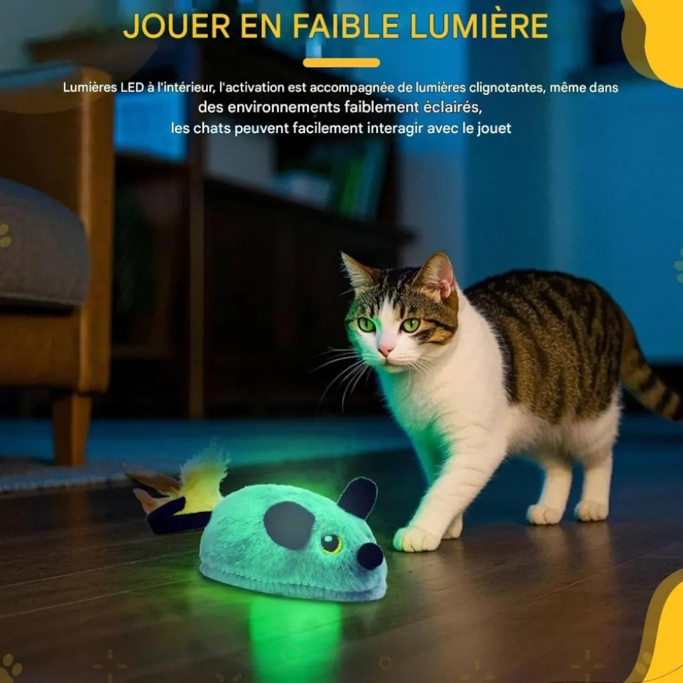 DOWNYPAWS - Jouets pour chats souris électrique-avec télécommande et câble de chargement usb