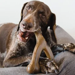 DOWNYPAWS - Jouets pour chiens-jouets à mâcher interactifs-jouet en forme d'os-marron foncé 17*13cm