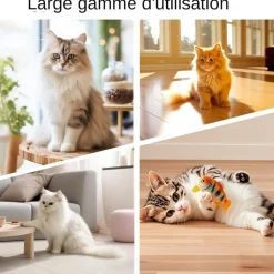 DOWNYPAWS - Jouets pour chats-6 boules de cloche-jouets interactifs-30*30*10cm