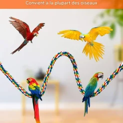 DOWNYPAWS - Jouets pour oiseaux-jouet à corde pour oiseaux 100cm-forme réglable avec cloche