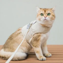 DOWNYPAWS - Laisse et harnais pour chat-m