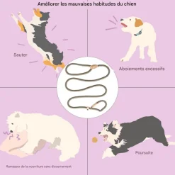 DOWNYPAWS - Laisse pour chienlaisse de dressage et collier réfléchissants et coulissants en nylon de 180 cm, couleur beige,