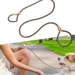 DOWNYPAWS - Laisse pour chienlaisse de dressage et collier réfléchissants et coulissants en nylon de 180 cm, couleur beige,