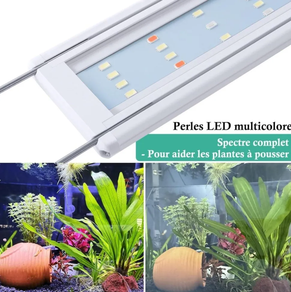 DOWNYPAWS - Lampe d'éclairage pour poissons-accessoires d'aquarium-28cm