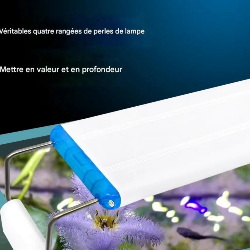 DOWNYPAWS - Lampe d'éclairage pour poissons-accessoires d'aquarium-28cm