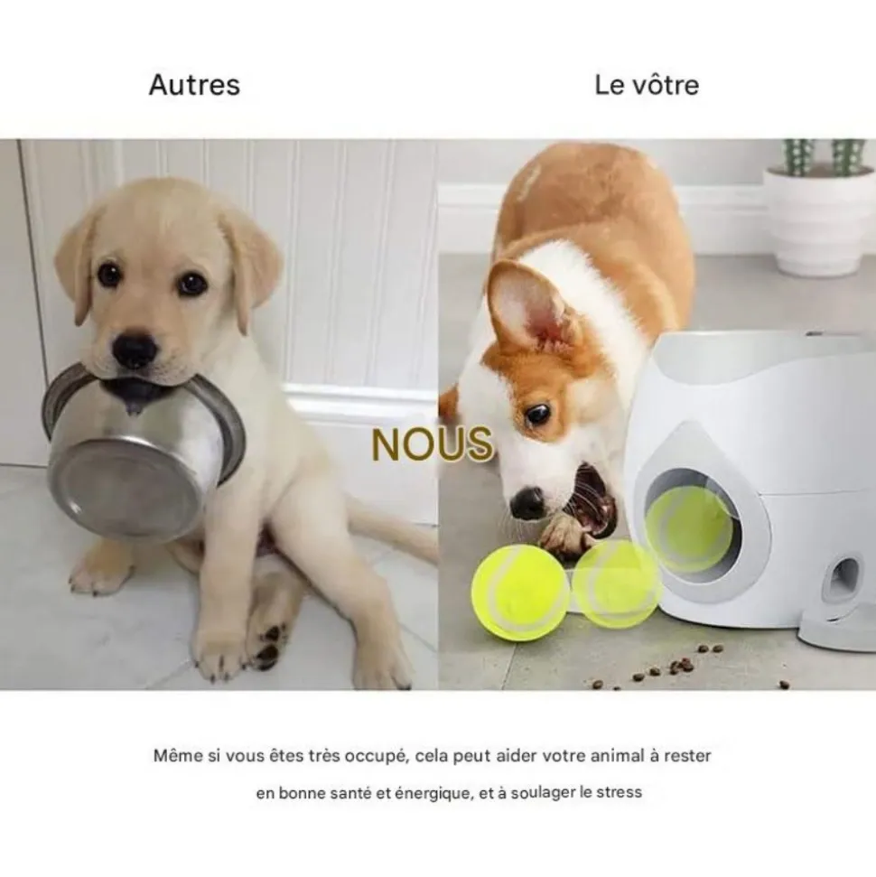 DOWNYPAWS - Lanceur de balles pour chien, alimentation automatique, balle adaptée, compact