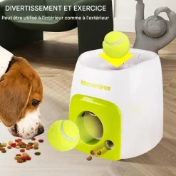 DOWNYPAWS - Lanceur de balles pour chien, alimentation automatique, balle adaptée, compact