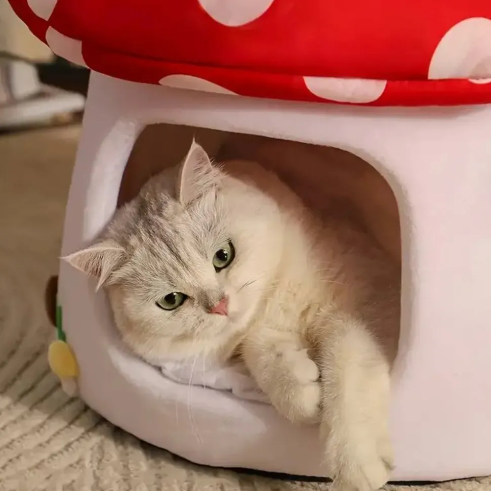 DOWNYPAWS - Lits Pour Chat En Forme De Champignon, Vache Et Chocolat