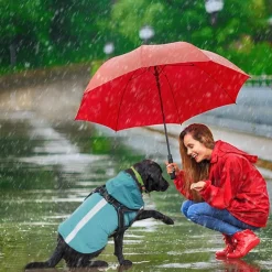 DOWNYPAWS - Manteau pour chiens-avec harnais-réfléchissant imperméable-vert taille 2xl