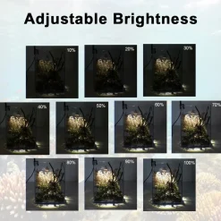 DOWNYPAWS - Mini lampe à pince led pour aquarium, ornement d'aménagement paysager