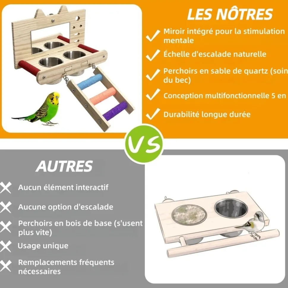 DOWNYPAWS - Miroir oiseau - perchoir en bois avec miroir