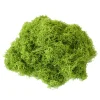 DOWNYPAWS - Mousse artificielle à grains fins pour gazon en pot 50 g vert foncé