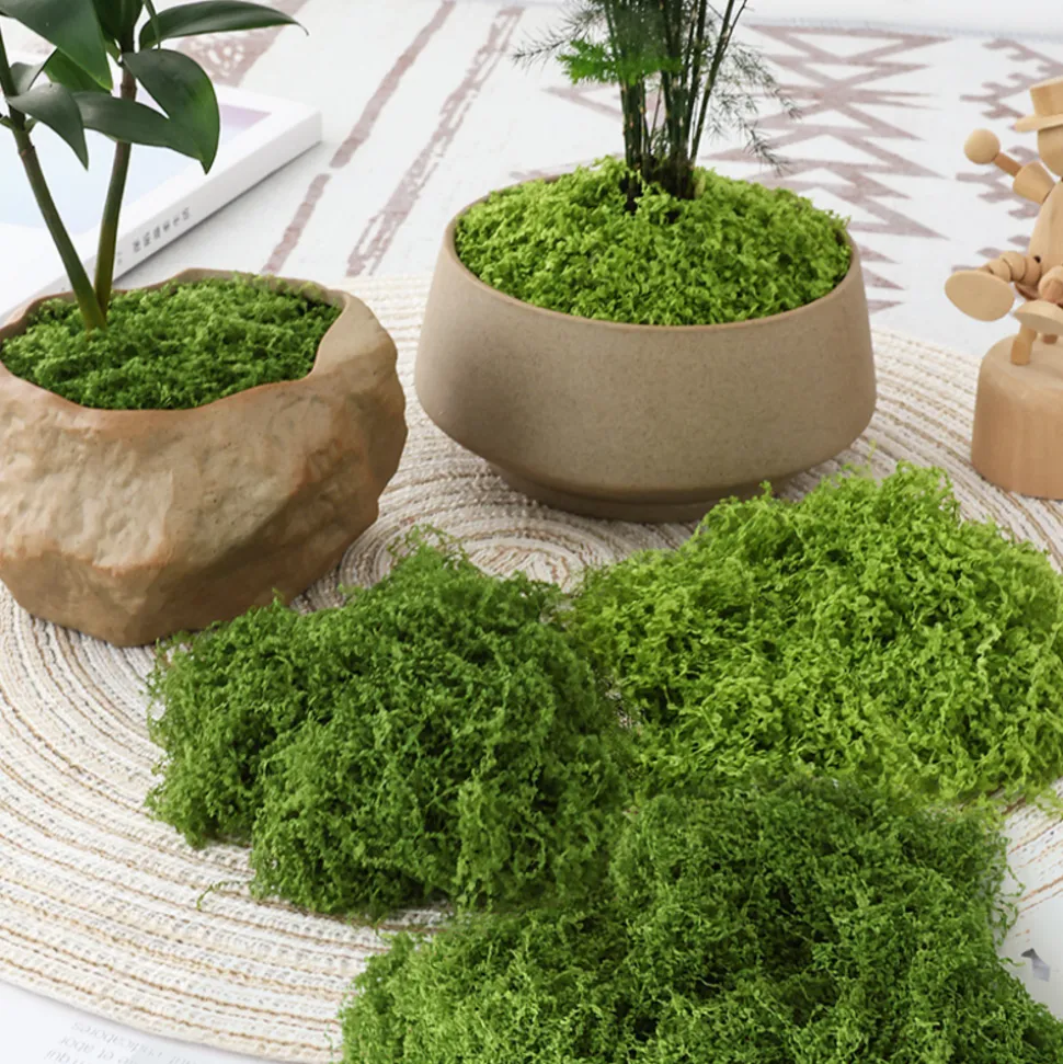 DOWNYPAWS - Mousse artificielle à grains fins pour gazon en pot 50 g vert clair