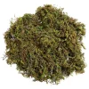 DOWNYPAWS - Mousse sèche naturelle de qualité supérieure 100g