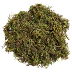 DOWNYPAWS - Mousse sèche naturelle de qualité supérieure 100g