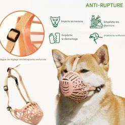 DOWNYPAWS - Muselière pour chien-convient aux chiens de moins de 15 kg-beige