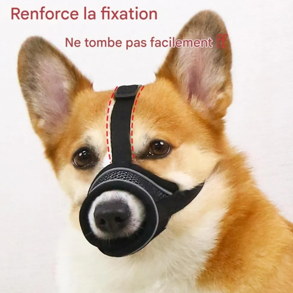DOWNYPAWS - Muselière pour chien