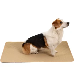 DOWNYPAWS - Nappe anti-urine pour animaux de compagnie réutilisable 35*50cm beige