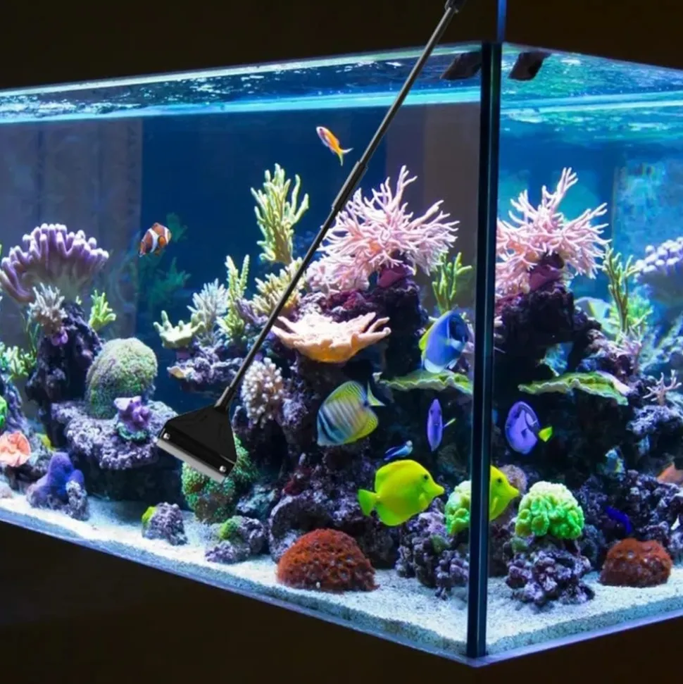 DOWNYPAWS - Nettoyeur pour aquarium - poignée 62cm