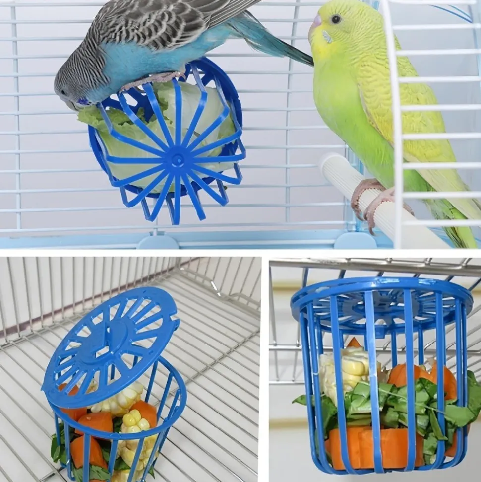 DOWNYPAWS - Nourrisseur - adapté pour oiseaux perroquets